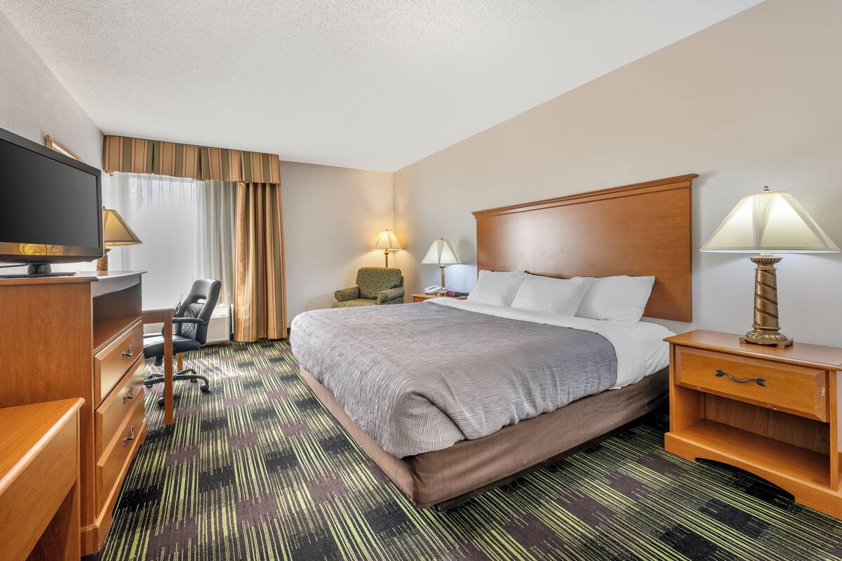 A hotel room with a bed, a desk, a television, two lamps, a chair, and a carpeted floor.