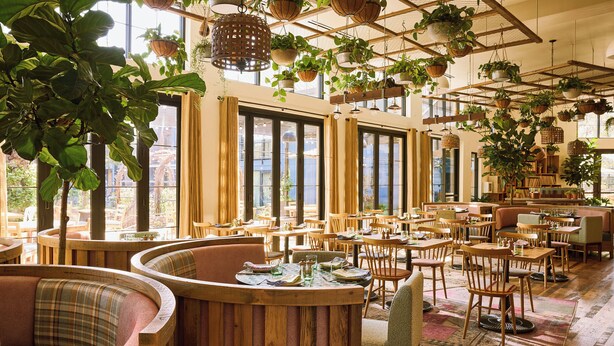 A spacious restaurant with wooden furniture, large windows, and hanging plants. - Treehouse Hotel Silicon Valley (Sunnyvale)