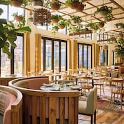 Treehouse Hotel Silicon Valley