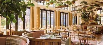 Treehouse Hotel Silicon Valley