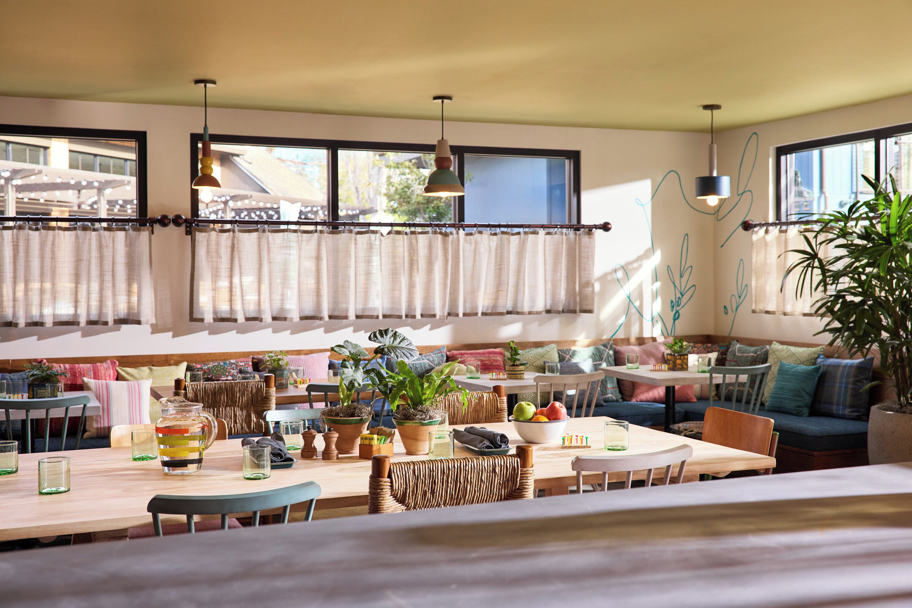 Una habitación acogedora y luminosa, con un ventanal grande, una mesa de comedor con sillas y varias plantas en macetas.