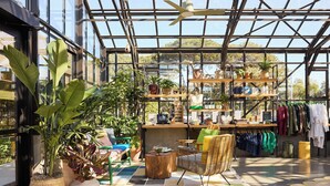 A greenhouse-style room with potted plants, a seating area with a wicker chair, and clothing racks. - Treehouse Hotel Silicon Valley (Sunnyvale)