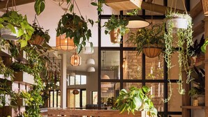A room with wooden cabinets, hanging plants, and a large window. - Treehouse Hotel Silicon Valley (Sunnyvale)