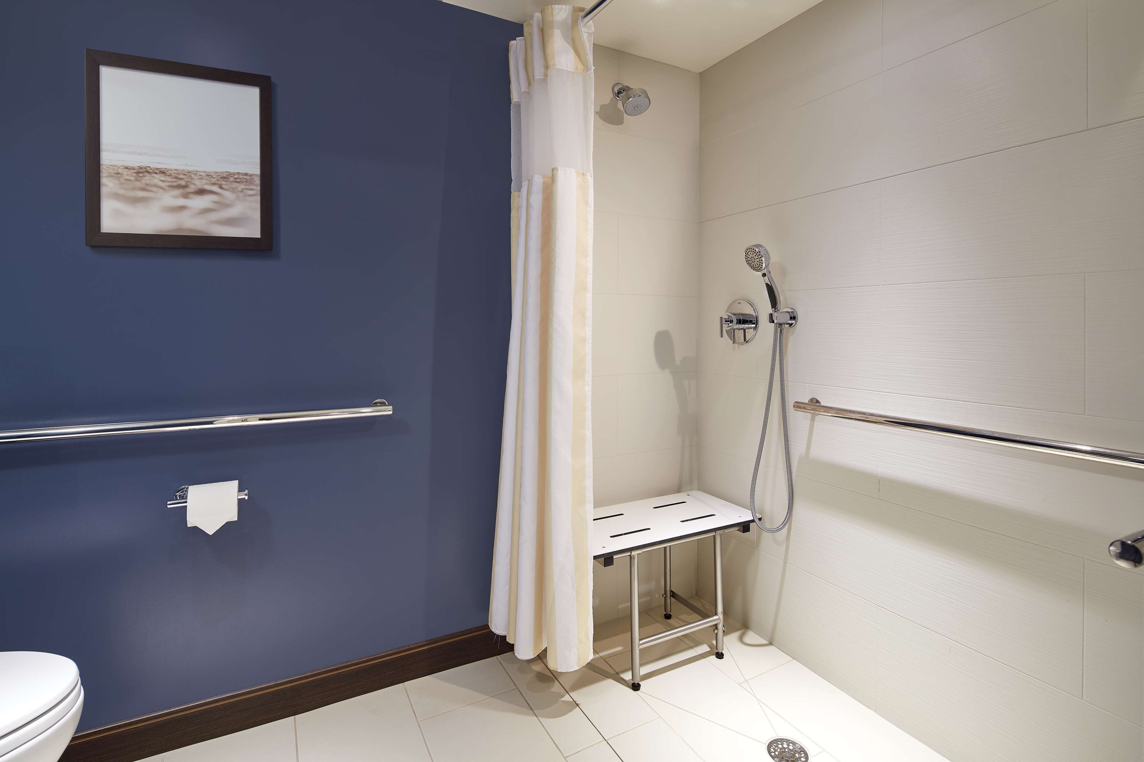 A bathroom with a shower, a toilet, a towel rack, and a framed picture on the wall.