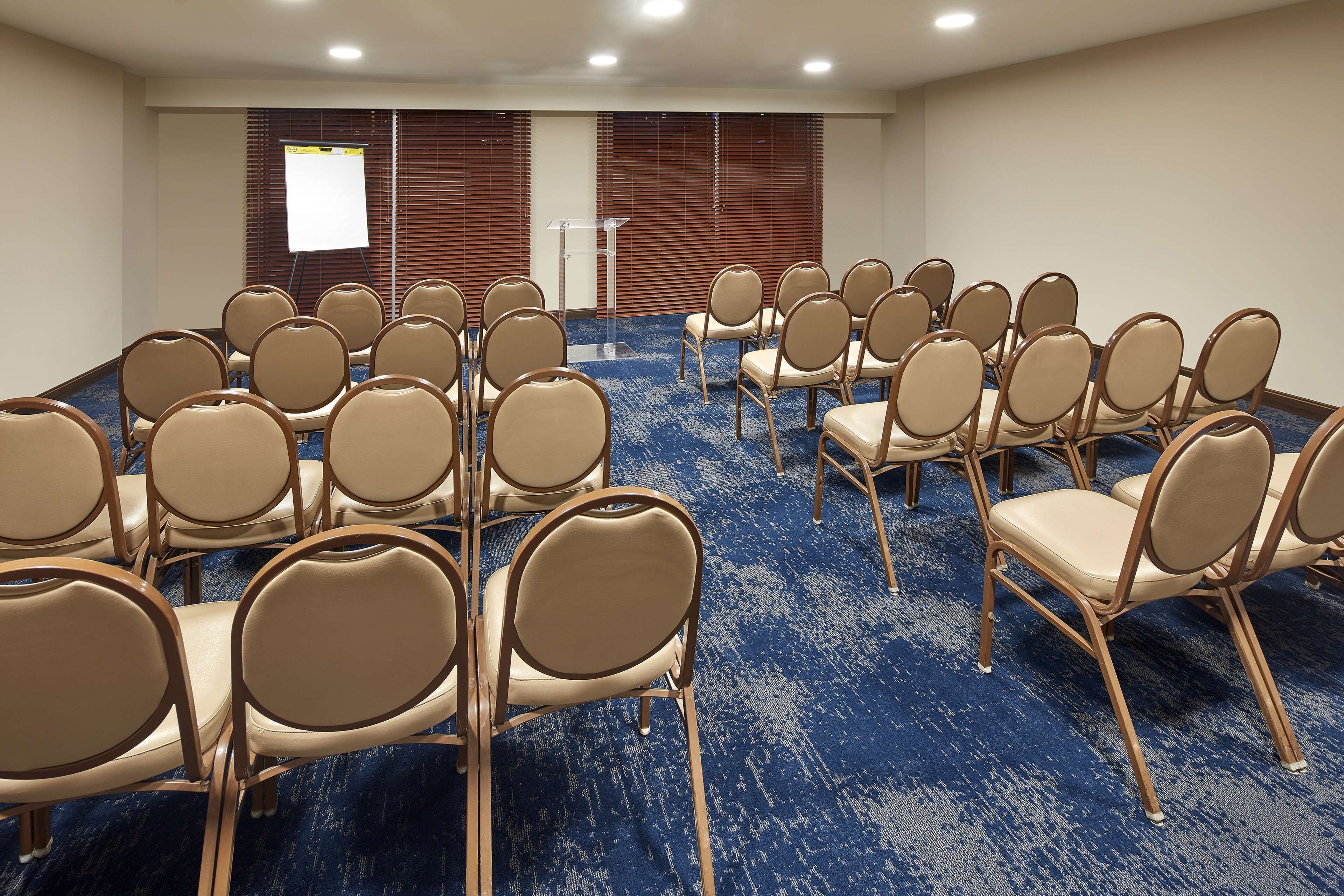 Konferenssihuone, jossa on riveissä beigenvärisiä tuoleja, puhujapönttö ja suuri näyttö.