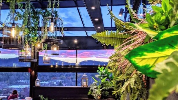 A modern lounge area with a sofa and chairs, a view of the city, and hanging plants. - Canberra Rex Hotel (Braddon)