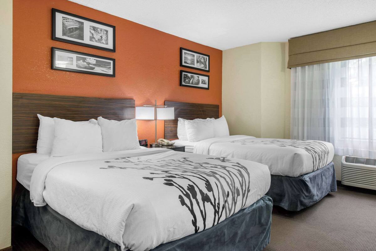 Premium bedding, desk, laptop workspace, blackout drapes