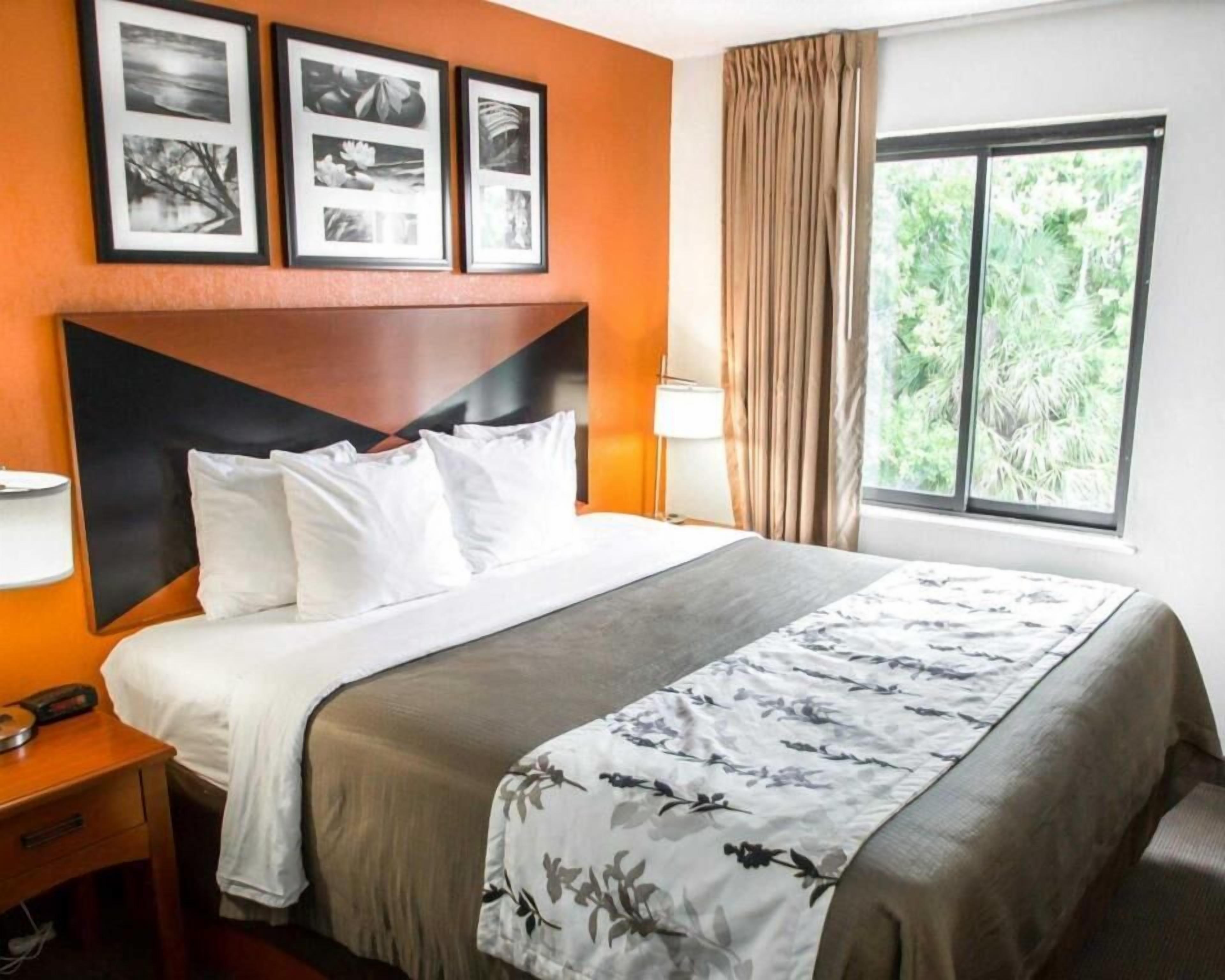 Ropa de cama de alta calidad y escritorio 