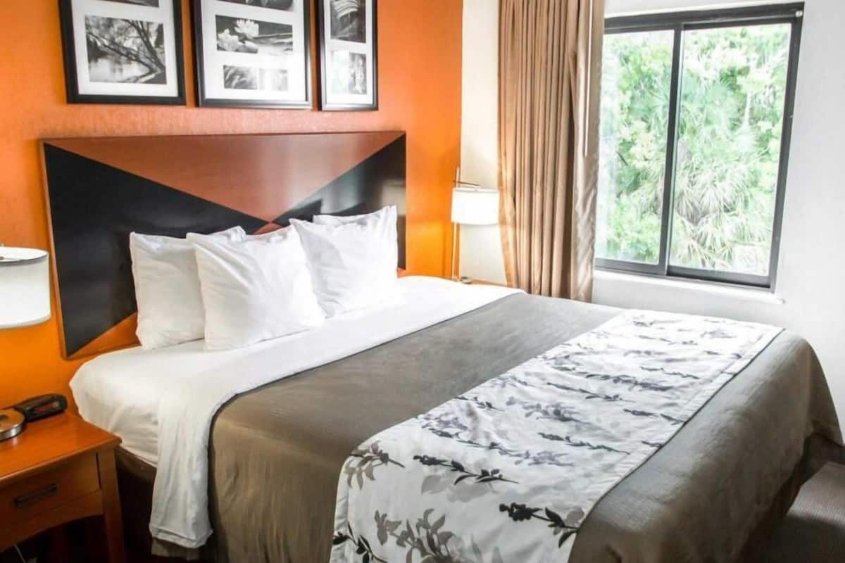 Ropa de cama de alta calidad y escritorio