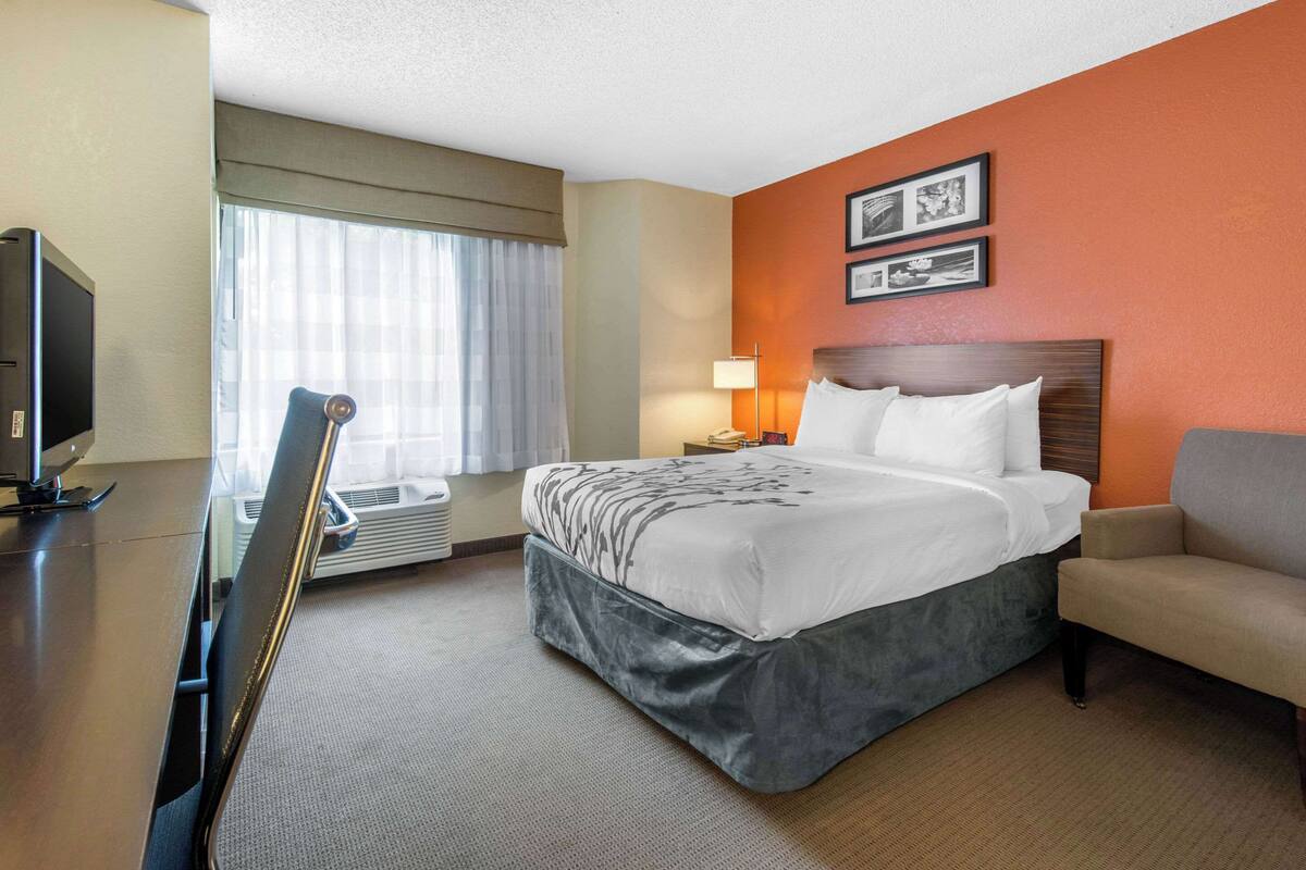 A hotel room with a bed, a desk with a computer, a chair, a lamp, and a window with curtains.