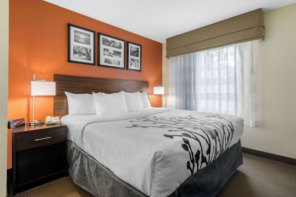 A hotel room with a large bed, a nightstand with a lamp, and framed pictures on the wall.