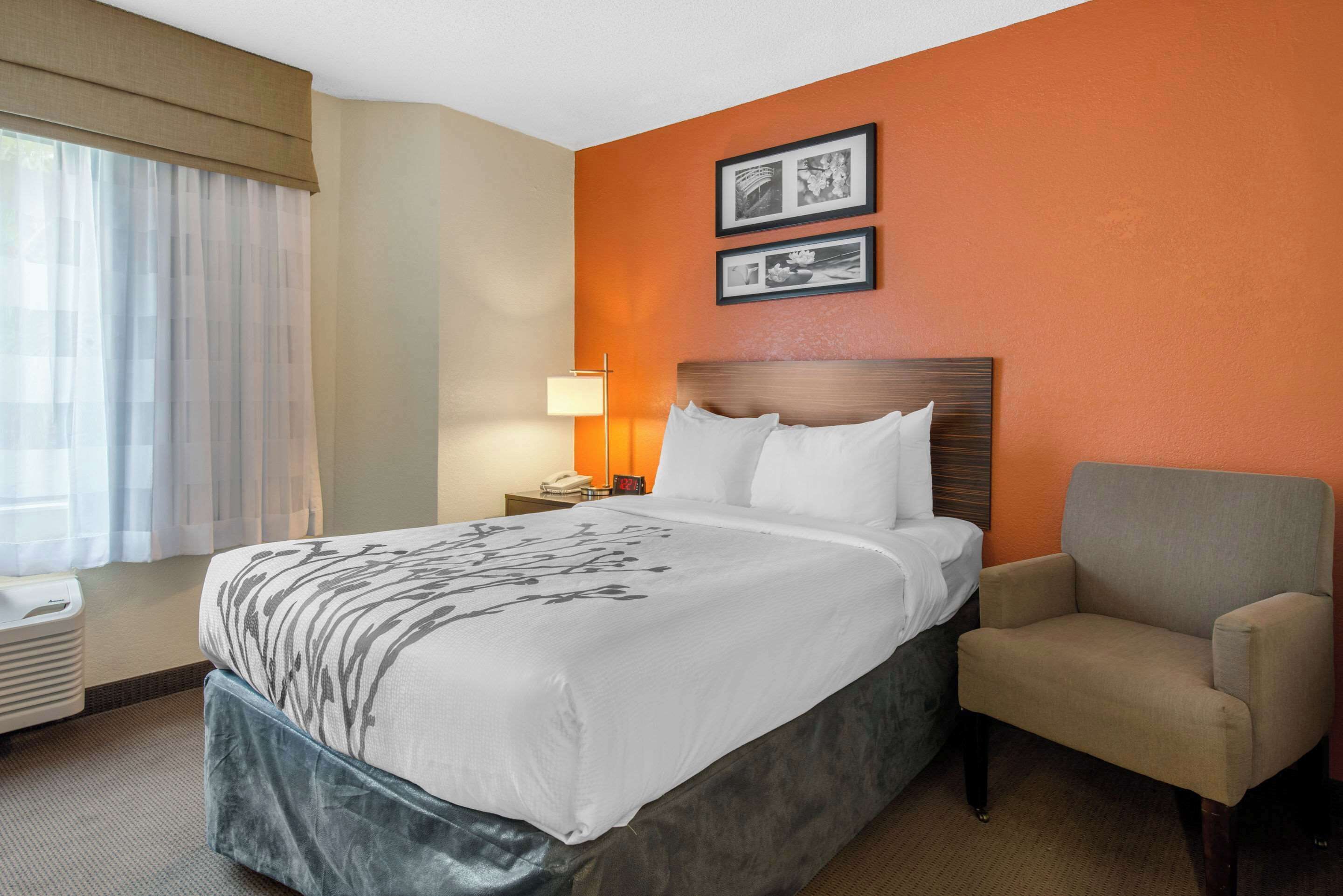 room, 1 double bed, accessible, non smoking (roll-in shower) | premium bedding, desk, laptop workspace, blackout curtains