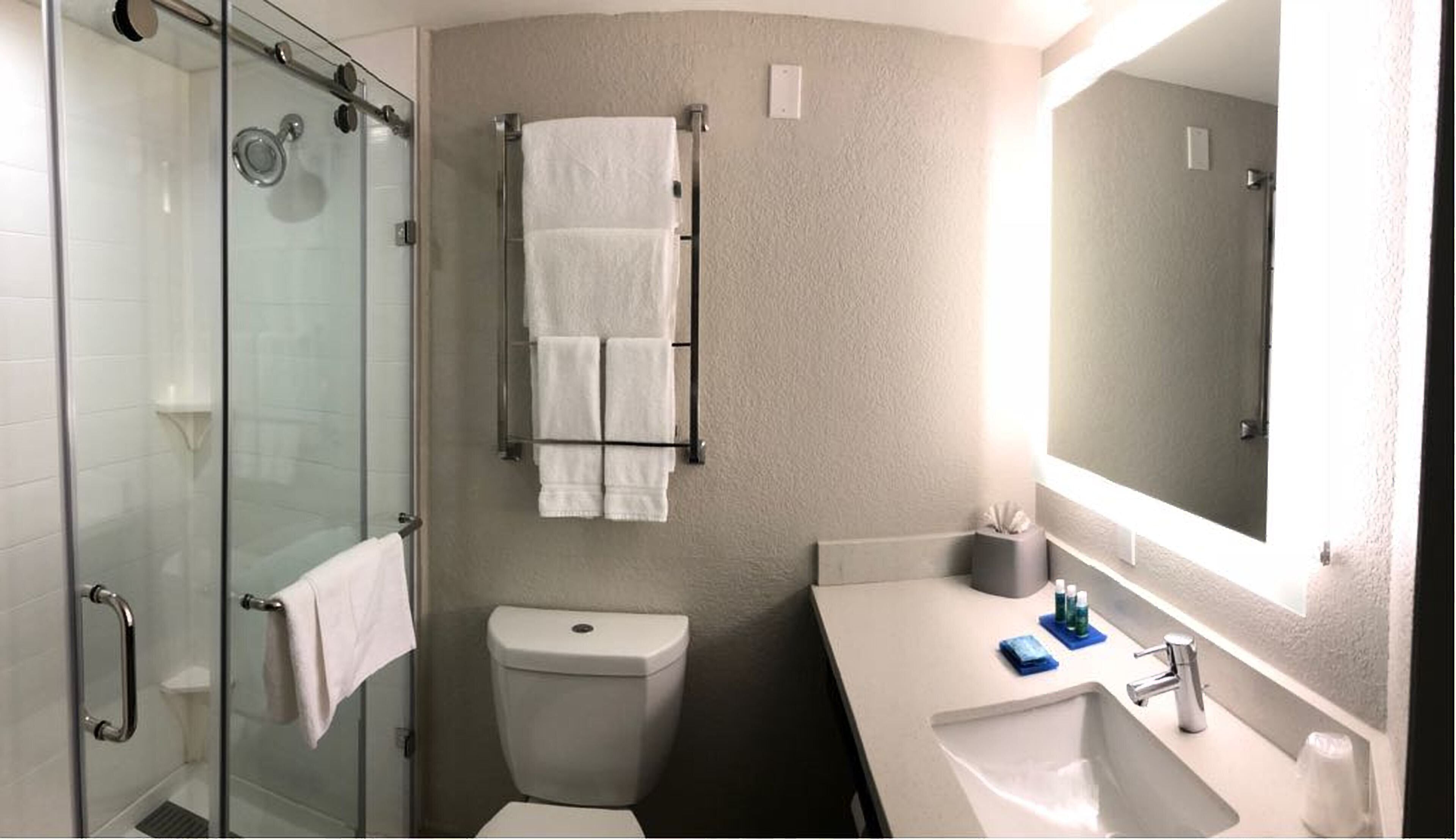 A bathroom with a glass shower enclosure, a toilet, a sink with a mirror, and a towel rack.