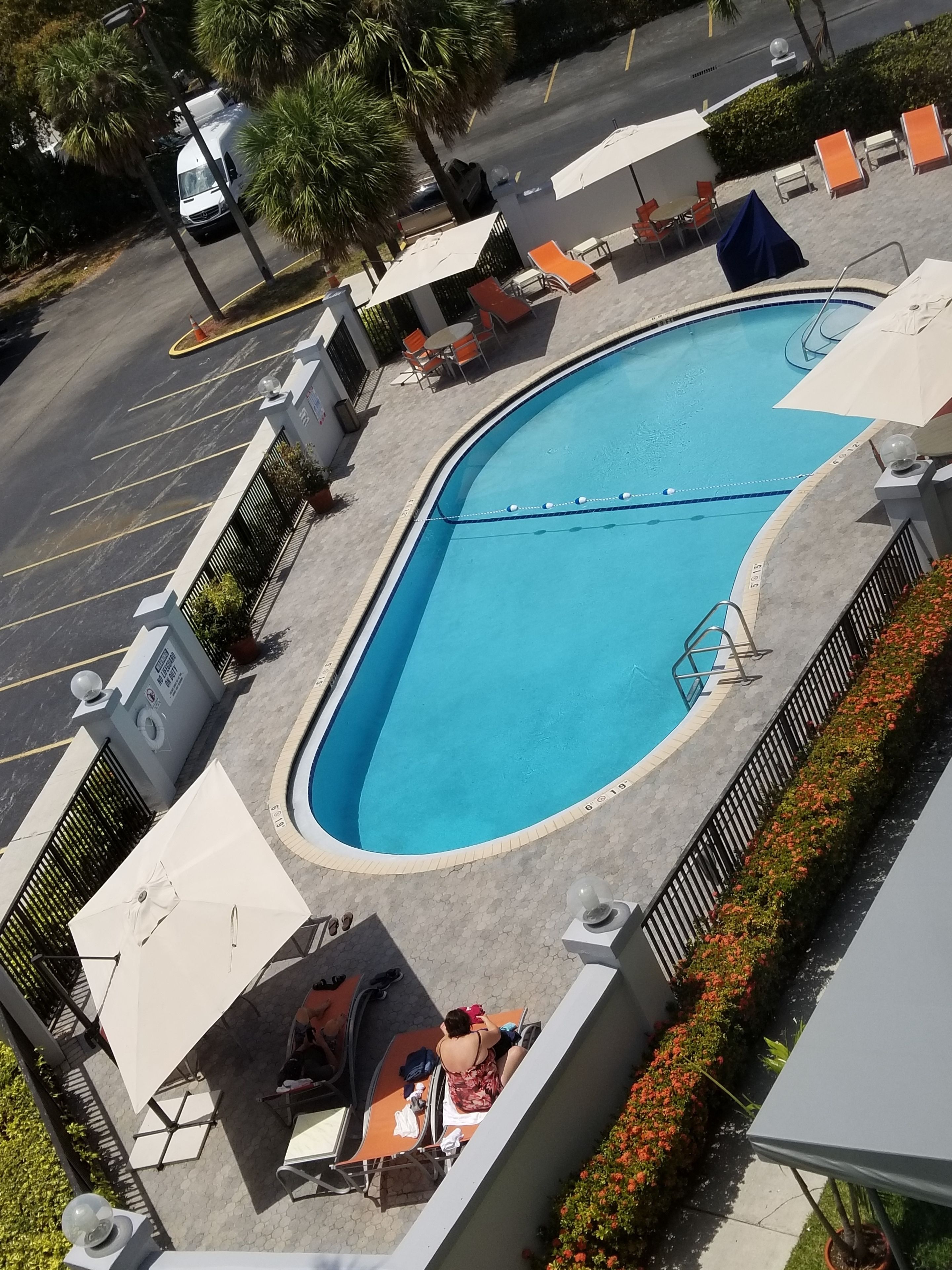 A swimming pool with lounge chairs and umbrellas, surrounded by a low wall and potted plants.
