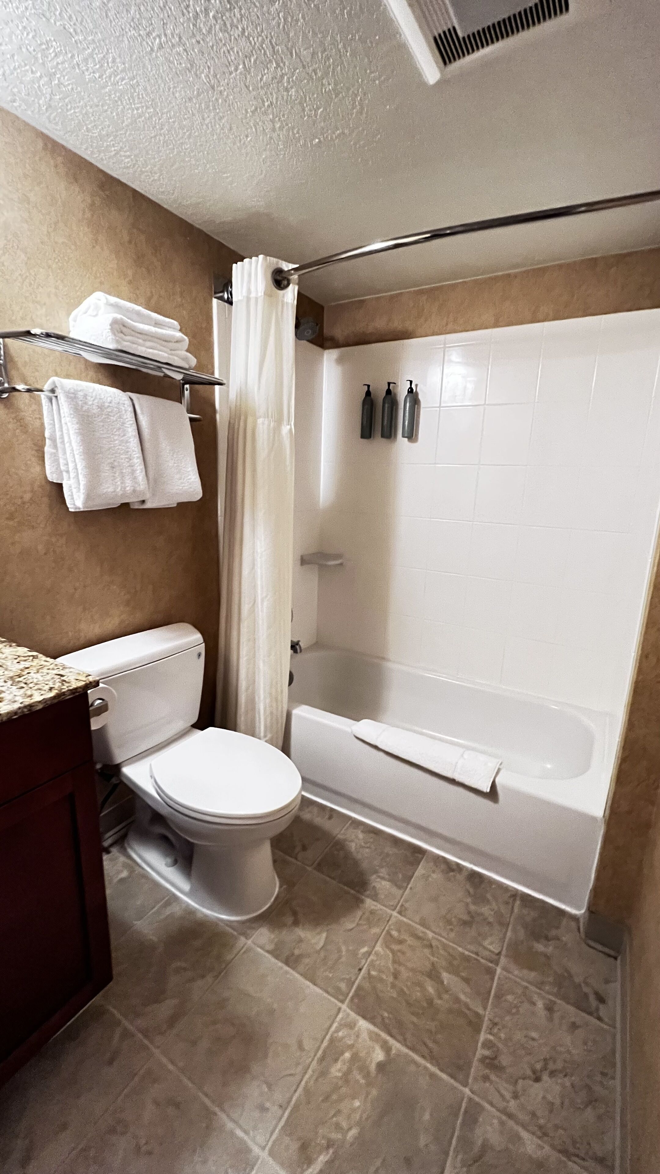 combined shower/bathtub, free toiletries, hair dryer, towels