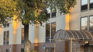 Un edificio moderno con un área de estar al aire libre techada, un árbol grande y un cartel que indica la entrada y los ascensores.