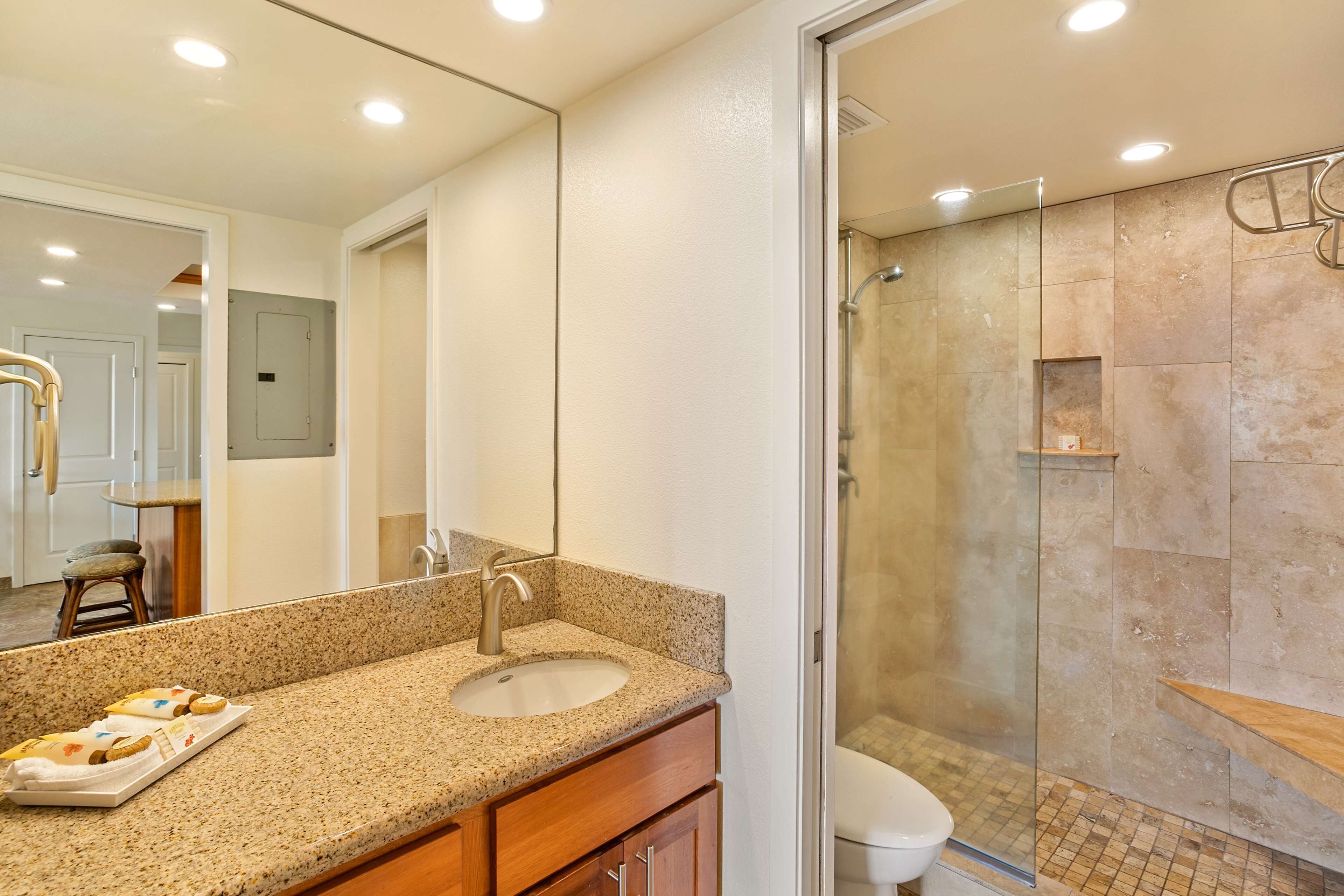 Une salle de bain avec un lavabo sur un comptoir en granit, un miroir et une douche à parois de verre.
