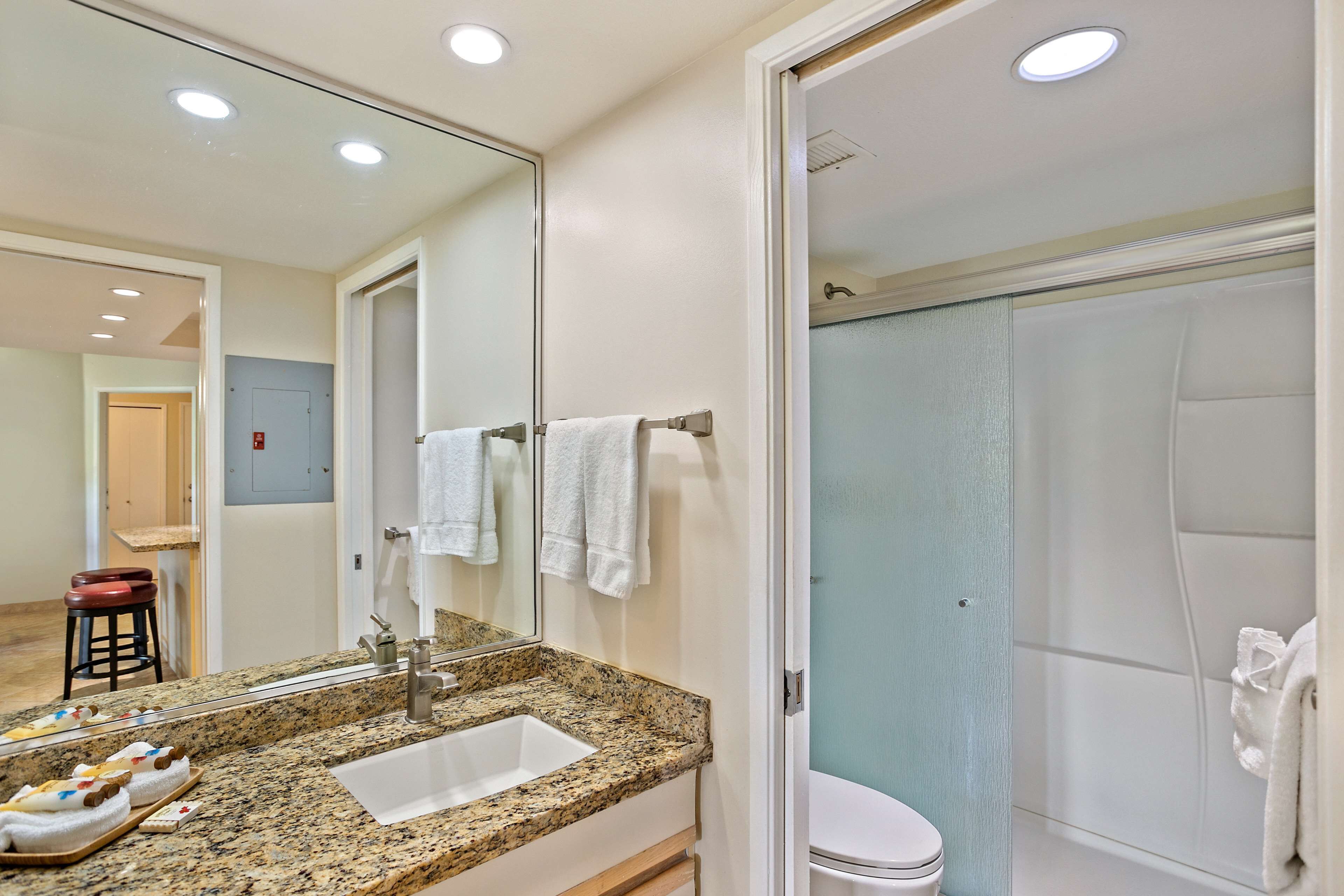 Une salle de bain avec un lavabo surmonté d’un plan de travail en granit, un miroir, des toilettes et un espace douche.