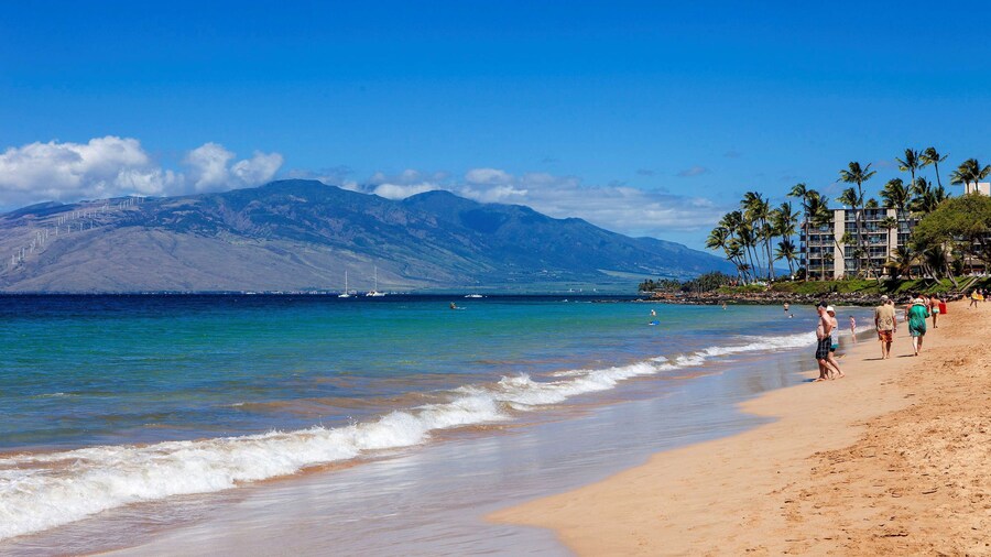 Aston at the Maui Banyan