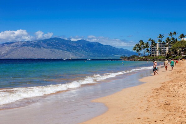 Una spiaggia nelle vicinanze