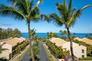 A resort with a beachfront view, palm trees lining the street, and buildings with light-colored roofs.