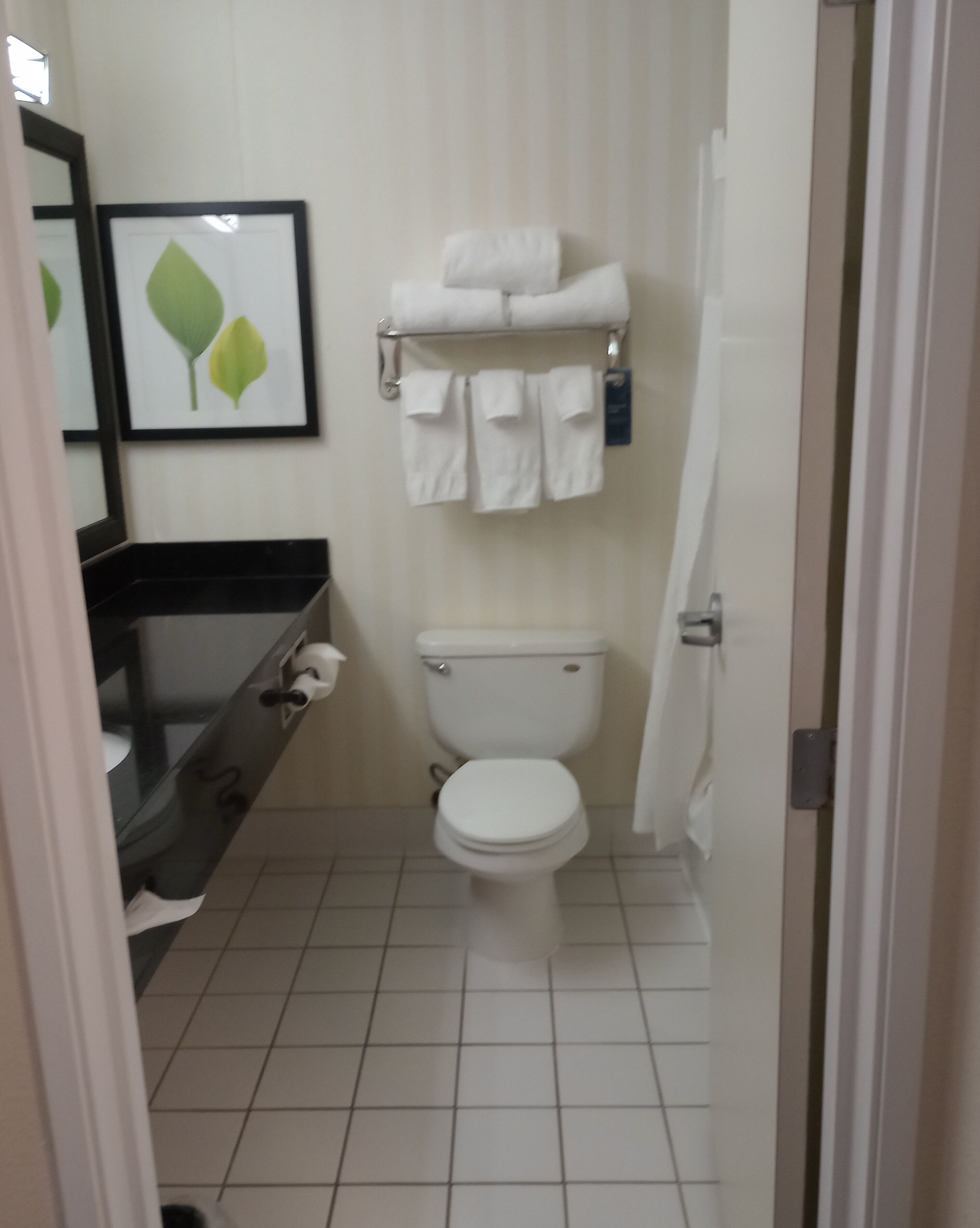 executive suite, 1 king bed with sofa bed, non smoking | bathroom | combined shower/bathtub, free toiletries, hair dryer, towels