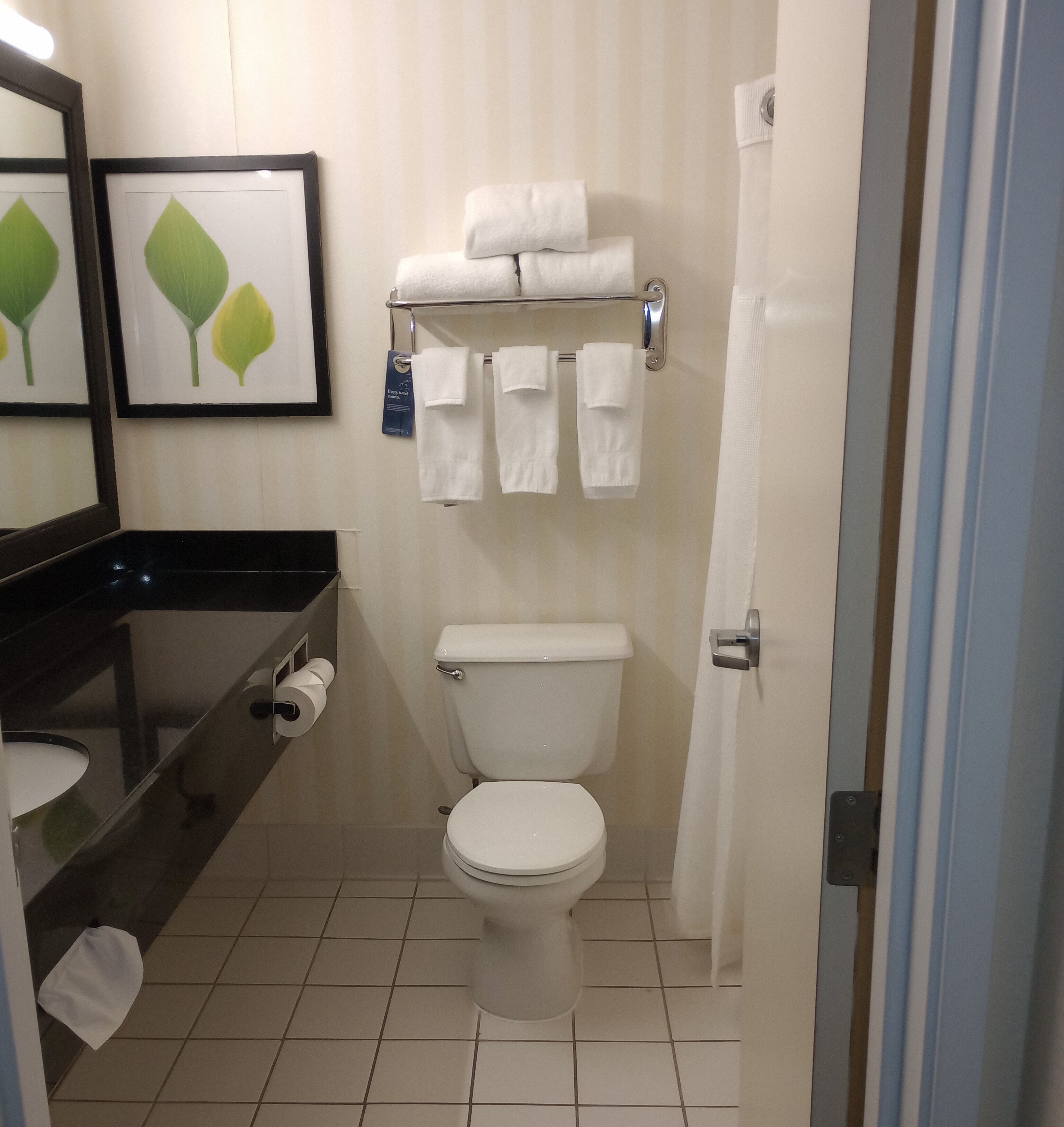 room, 1 king bed, non smoking | bathroom | combined shower/bathtub, free toiletries, hair dryer, towels