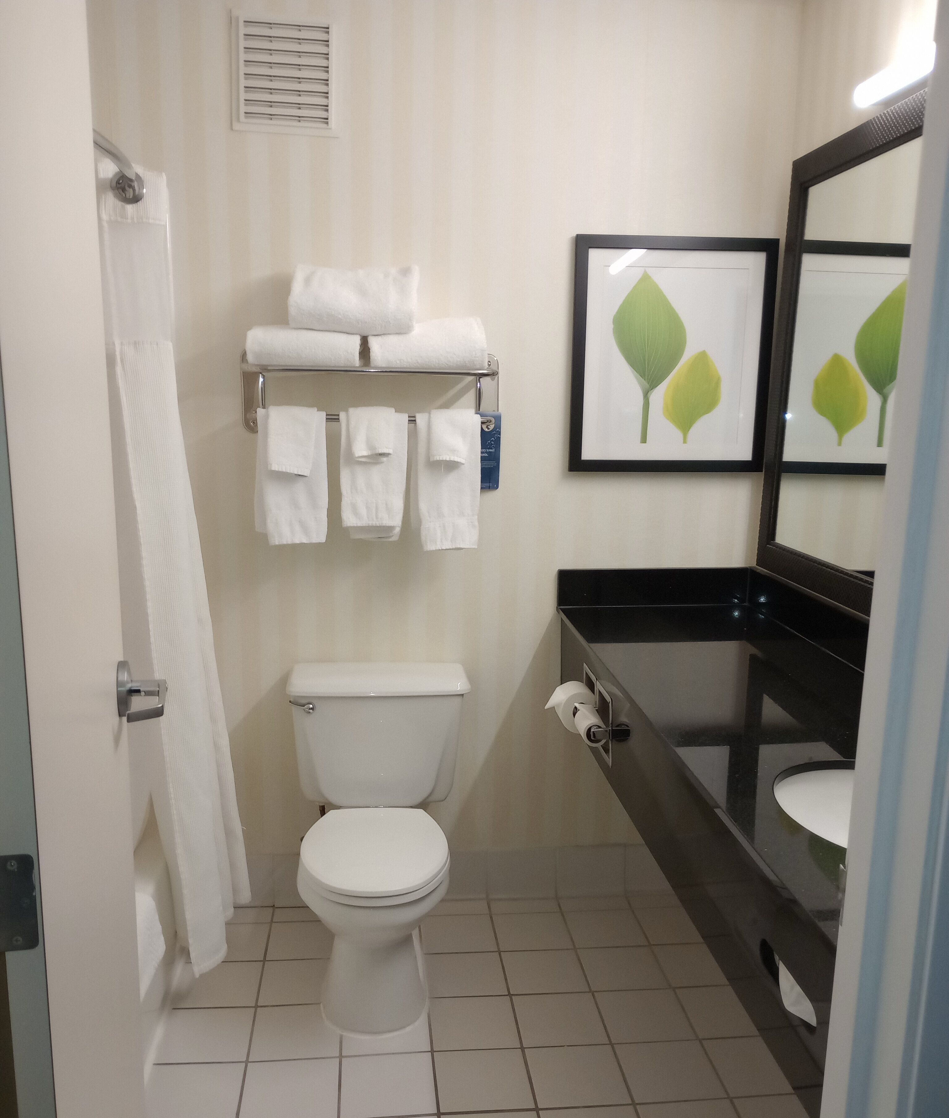 room, 1 queen bed, non smoking | bathroom | combined shower/bathtub, free toiletries, hair dryer, towels