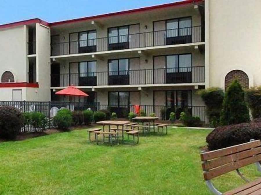 Área de parrillas y picnic