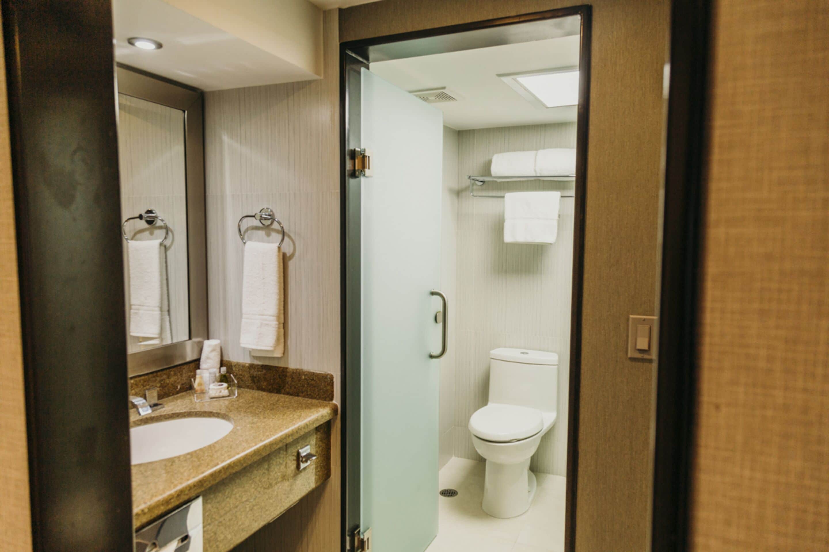 combined shower/bathtub, free toiletries, hair dryer, towels