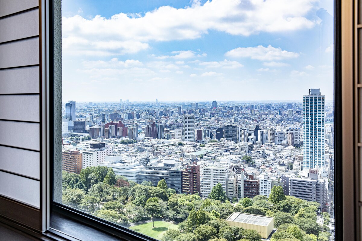 客房景观