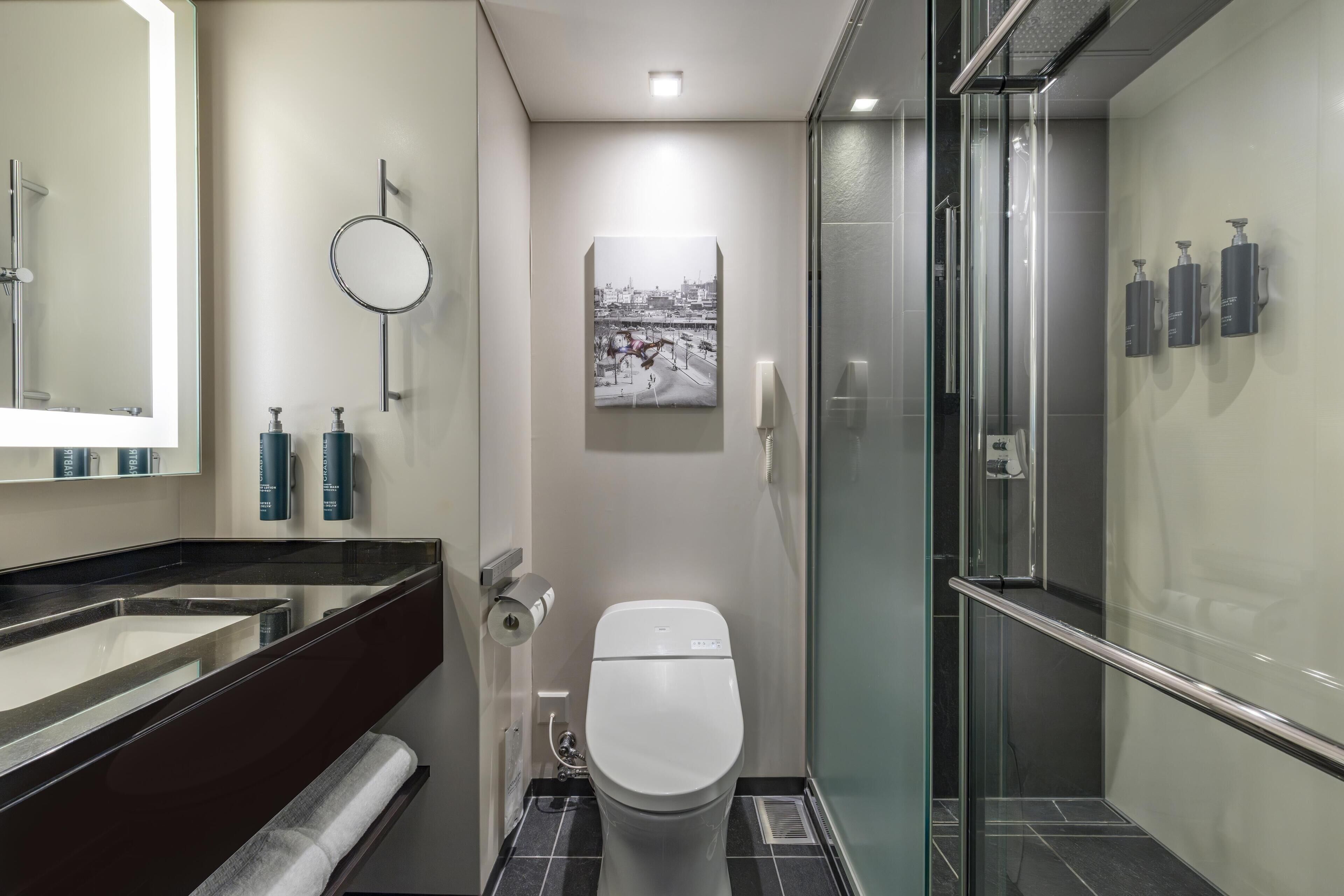 A modern bathroom with a glass shower enclosure, a toilet, a sink with a dark countertop, and a mirror.