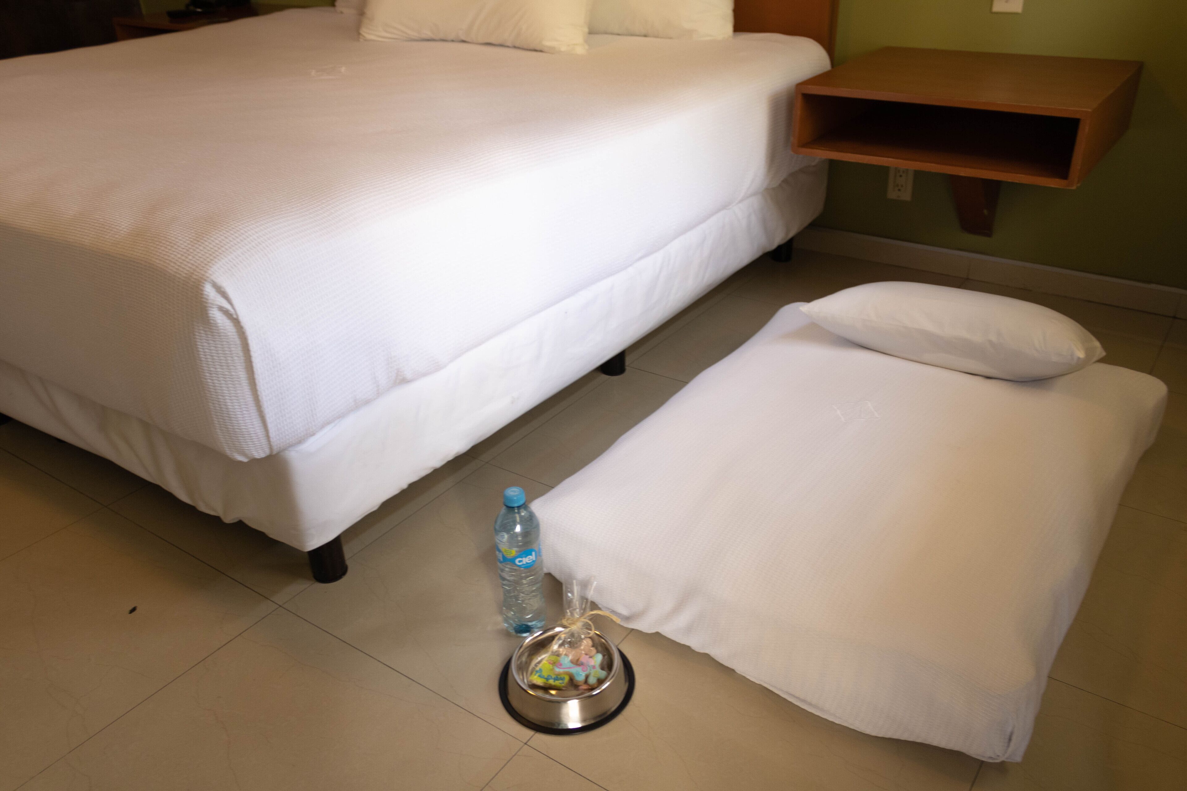 Habitación de hotel con una cama grande, una cama más pequeña, una botella de agua y un cuenco para mascotas en el suelo.