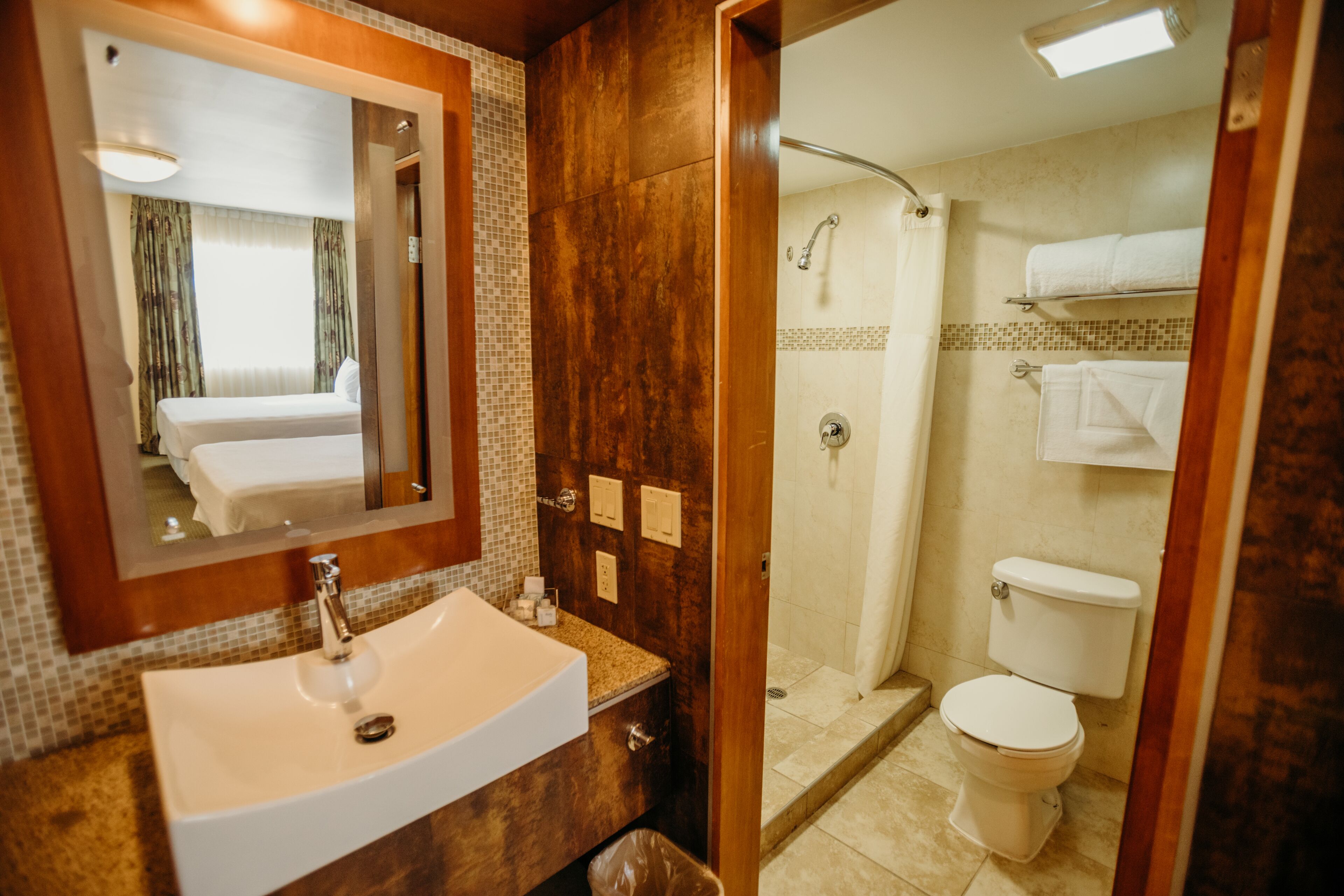 shower, rainfall showerhead, free toiletries, hair dryer