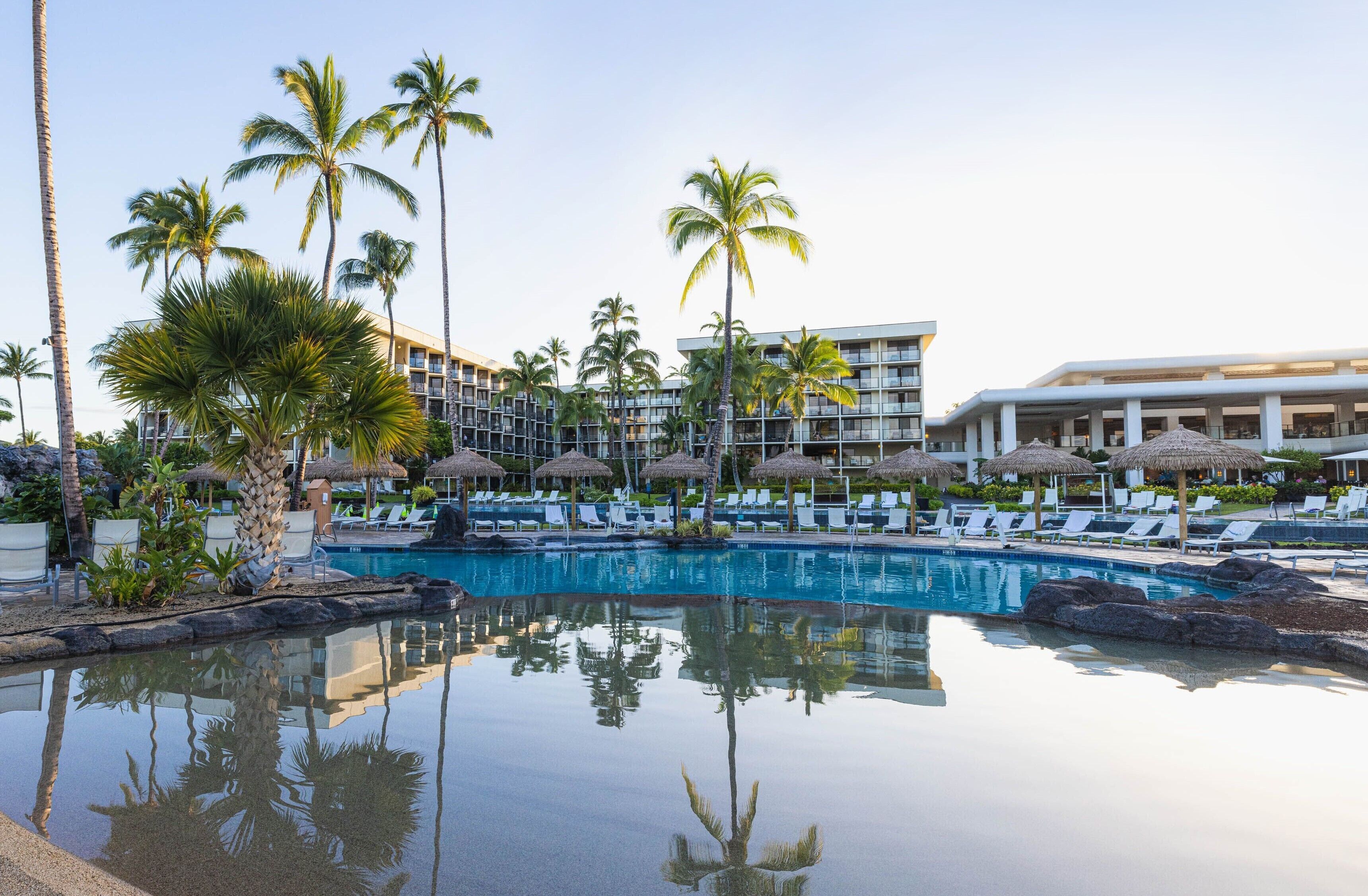 A resort pool with palm trees, lounge chairs, and a modern building in the background.