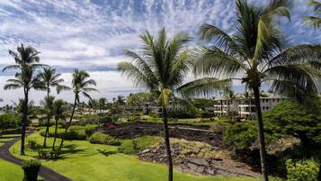 A lush, green landscape with palm trees, a winding path, and a building complex in the background.
