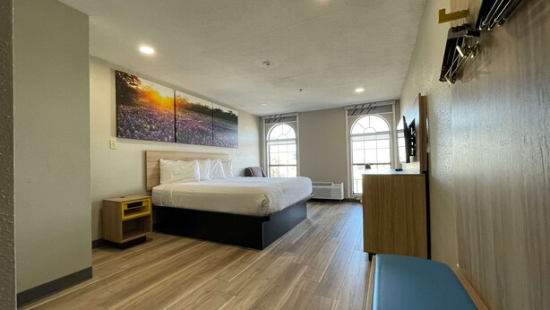 A modern hotel room with a large bed, a bedside table, a bench, and a painting on the wall. - Days Inn by Wyndham Near Seaworld San Antonio (San Antonio)