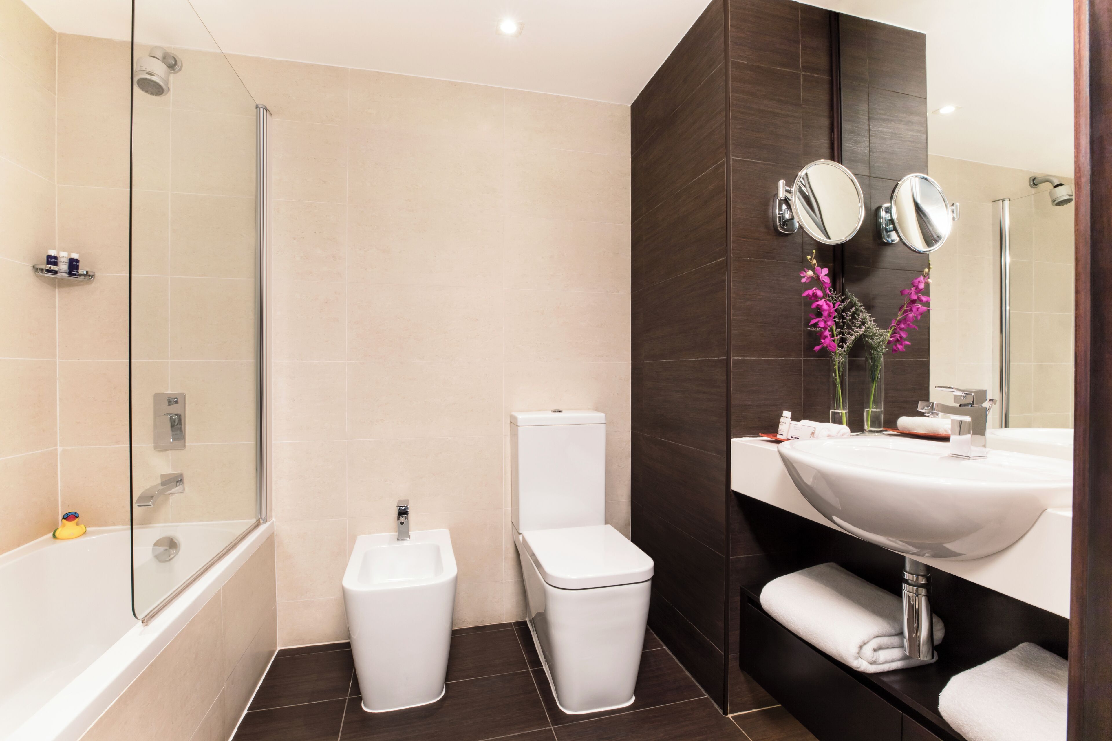 combined shower/bathtub, free toiletries, hair dryer, bathrobes