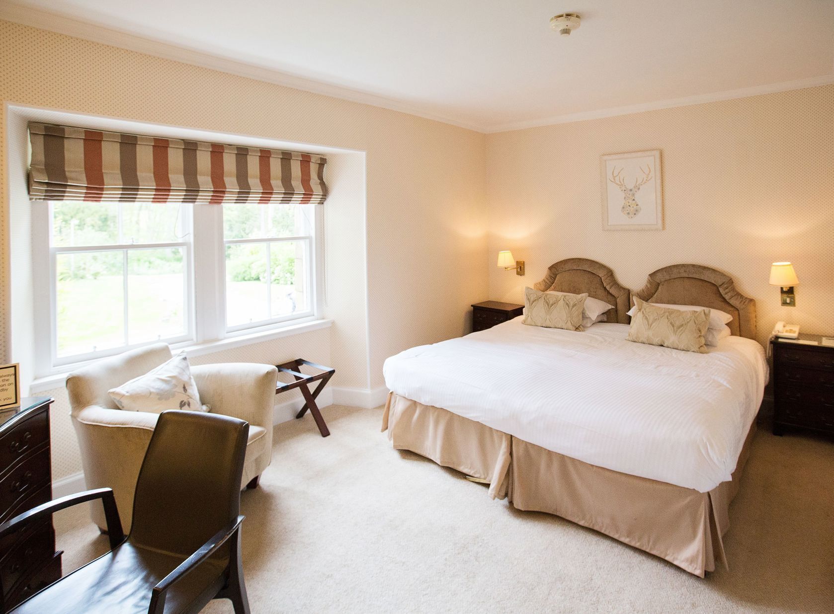 1 bedroom, hypo-allergenic bedding, individually decorated