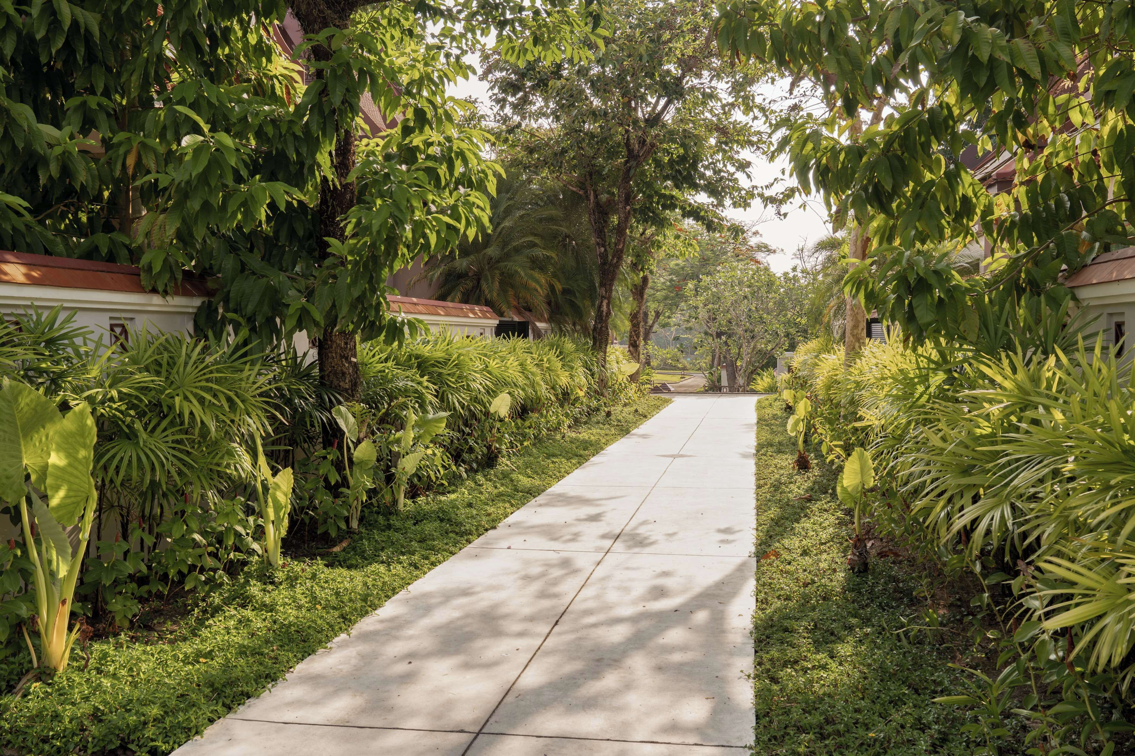 A pathway flanked by lush greenery and buildings.
