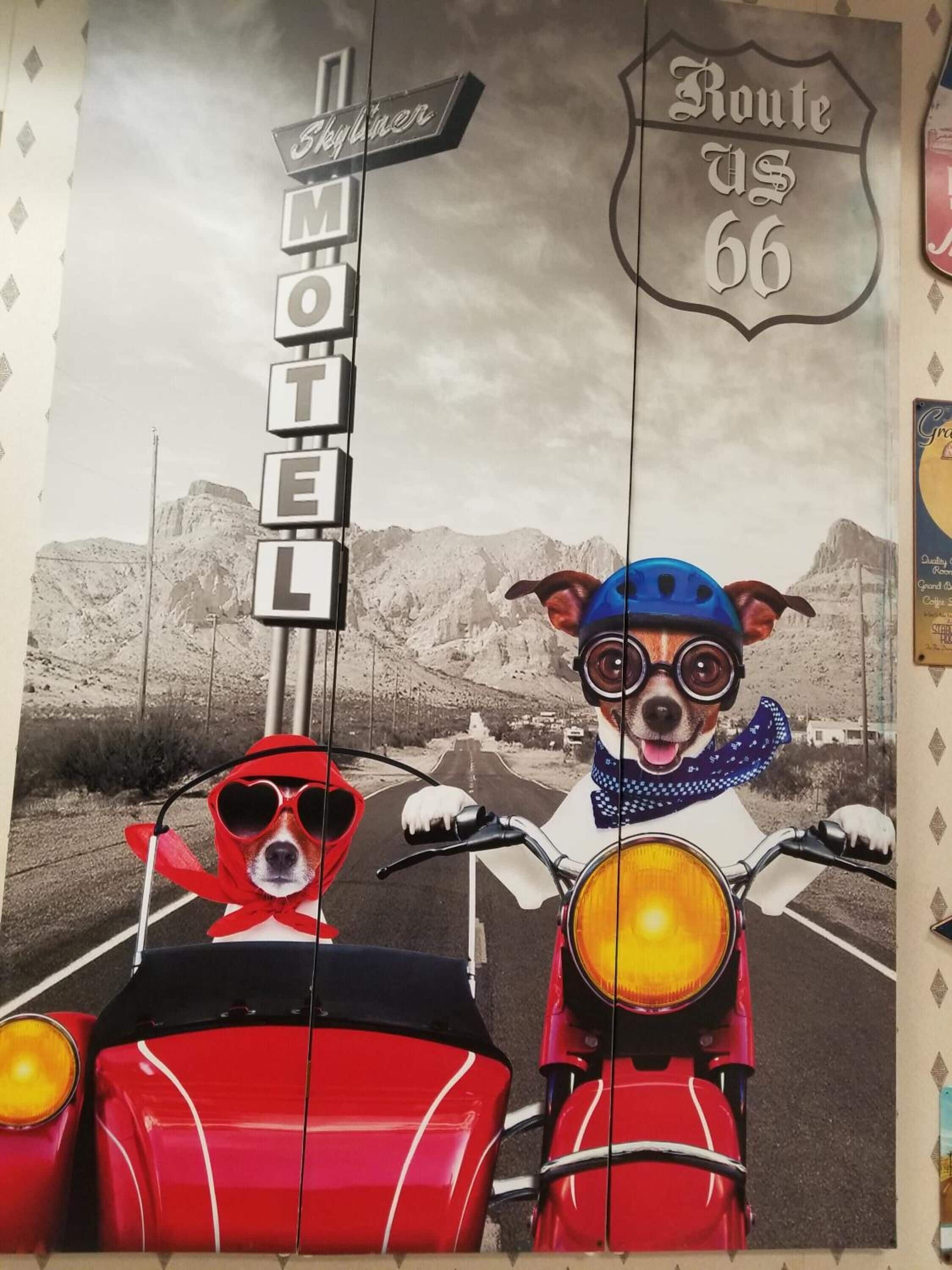 A mural with two dogs on motorcycles, a motel sign, and a Route 66 sign.
