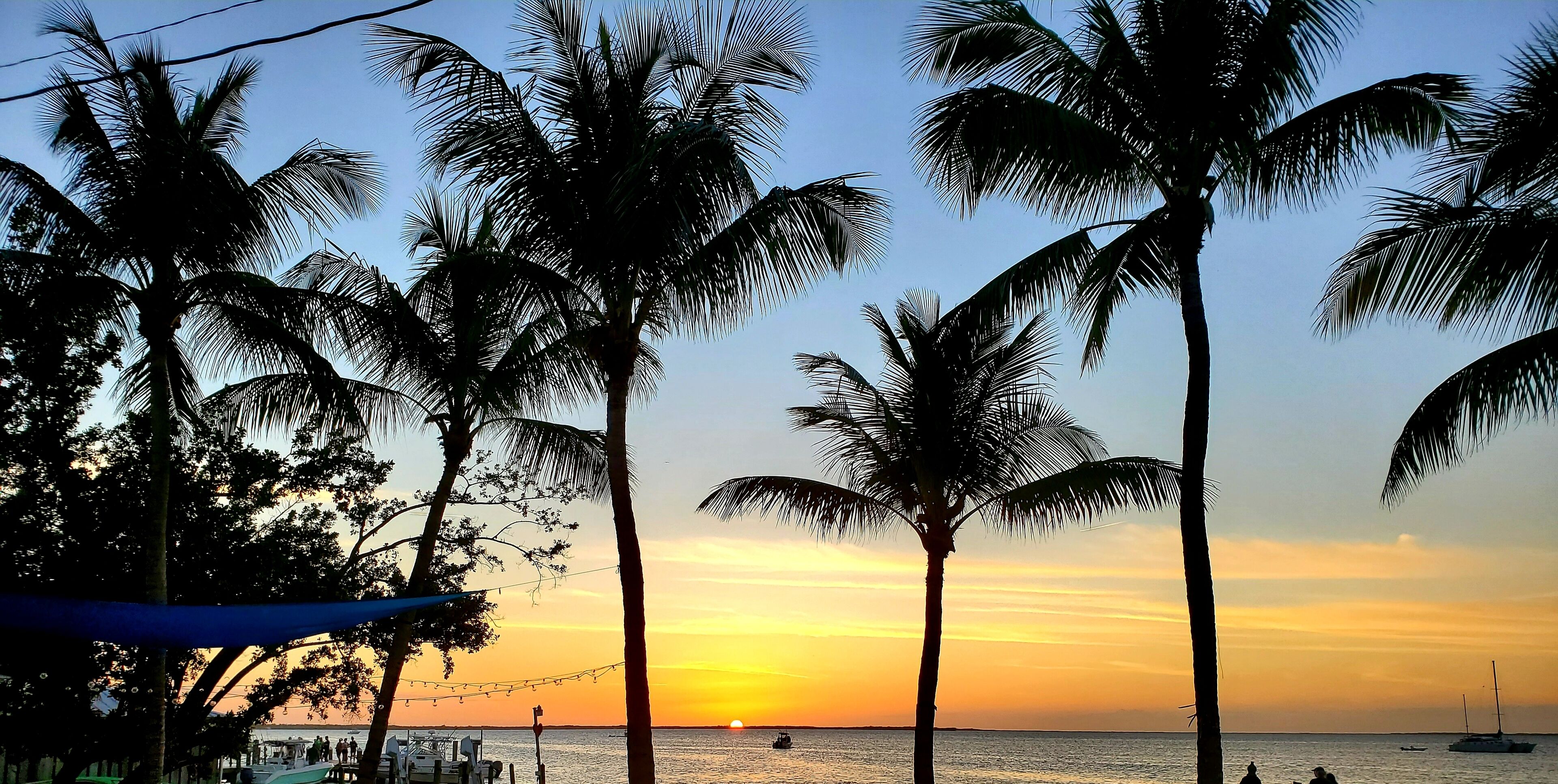 A beach scene with palm trees and a sunset over the ocean.