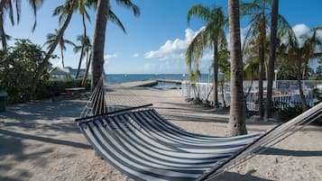 A hammock on a sandy beach with palm trees and a clear blue sky.