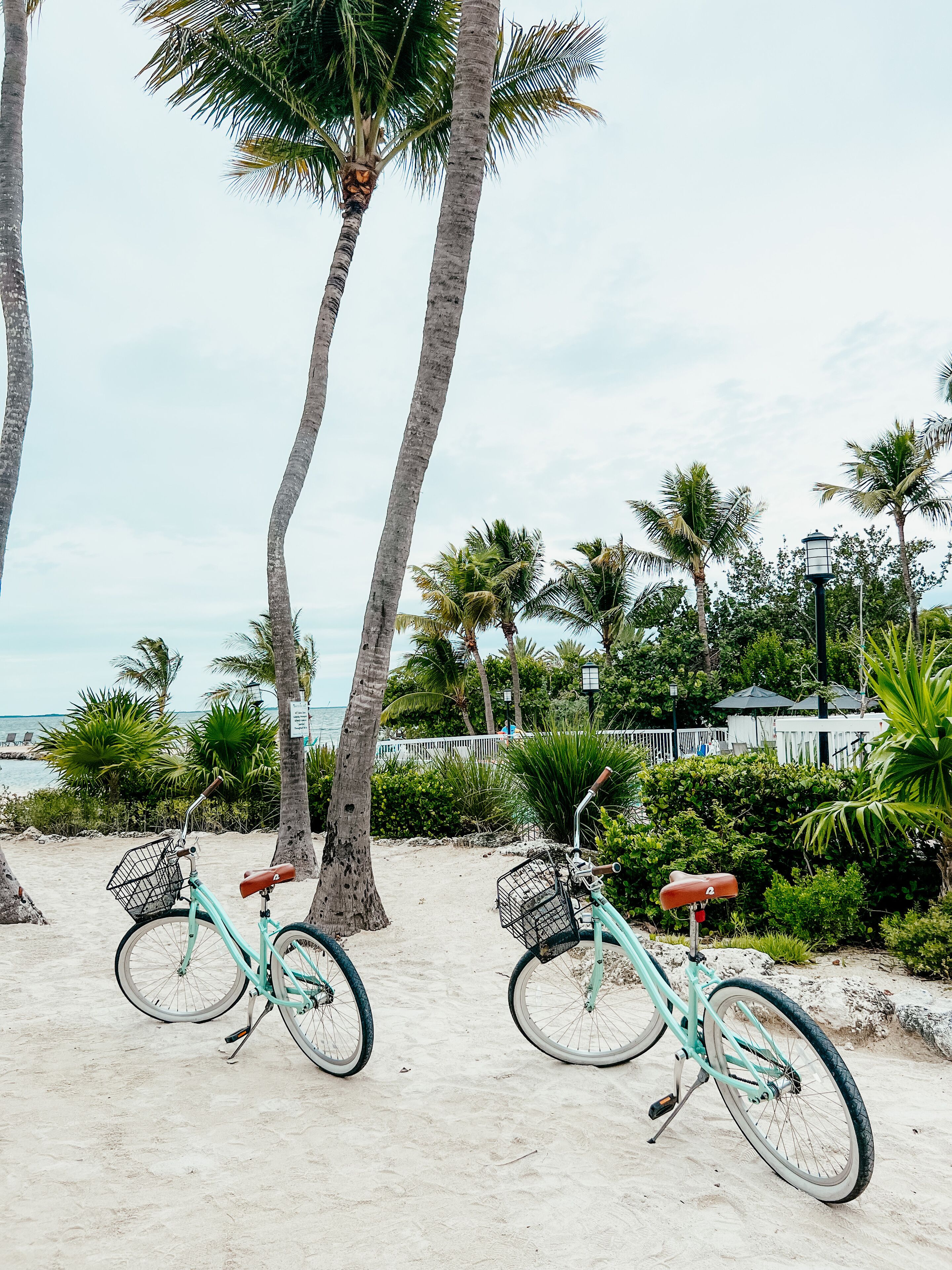 Deux vélos sont garés sur une plage de sable, avec des palmiers et l’océan en toile de fond.