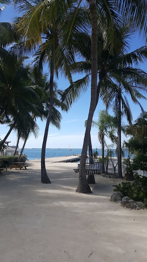 Private beach, sun loungers, scuba diving, snorkeling