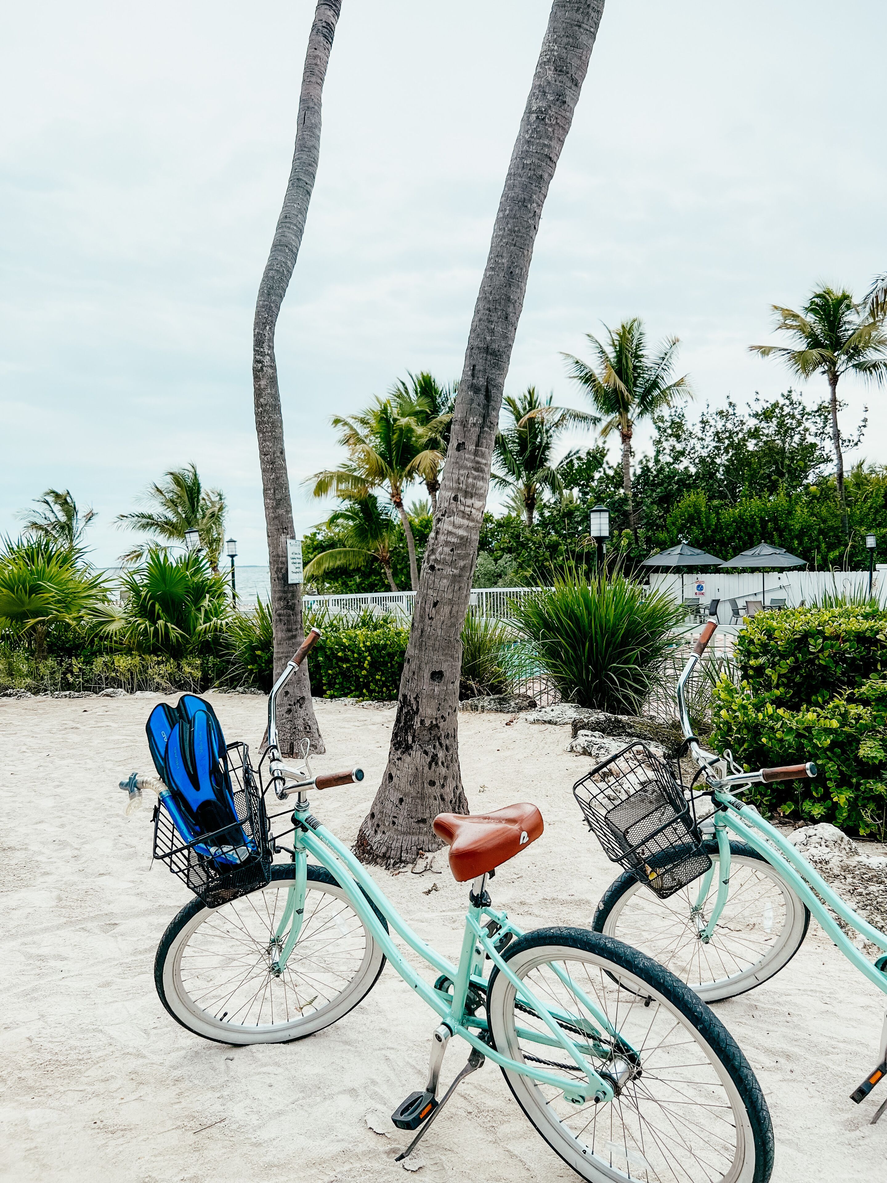 Une scène de plage avec deux vélos garés près de palmiers.