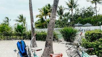Une scène de plage avec deux vélos garés près de palmiers.