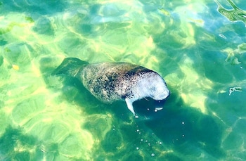 Ecotours at Bayside Inn Key Largo