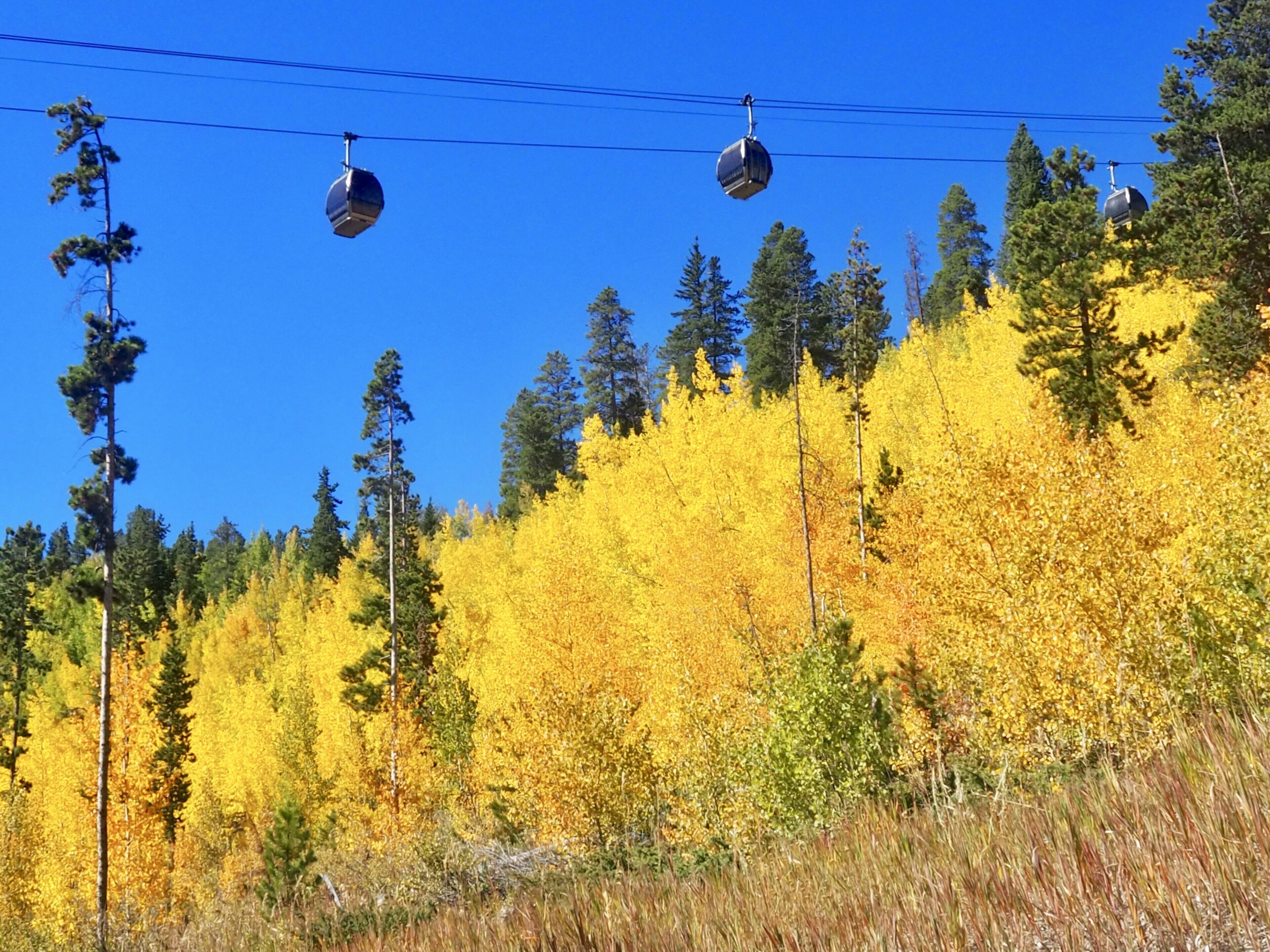 A cable car system with a clear blue sky and autumn-colored trees in the background.
