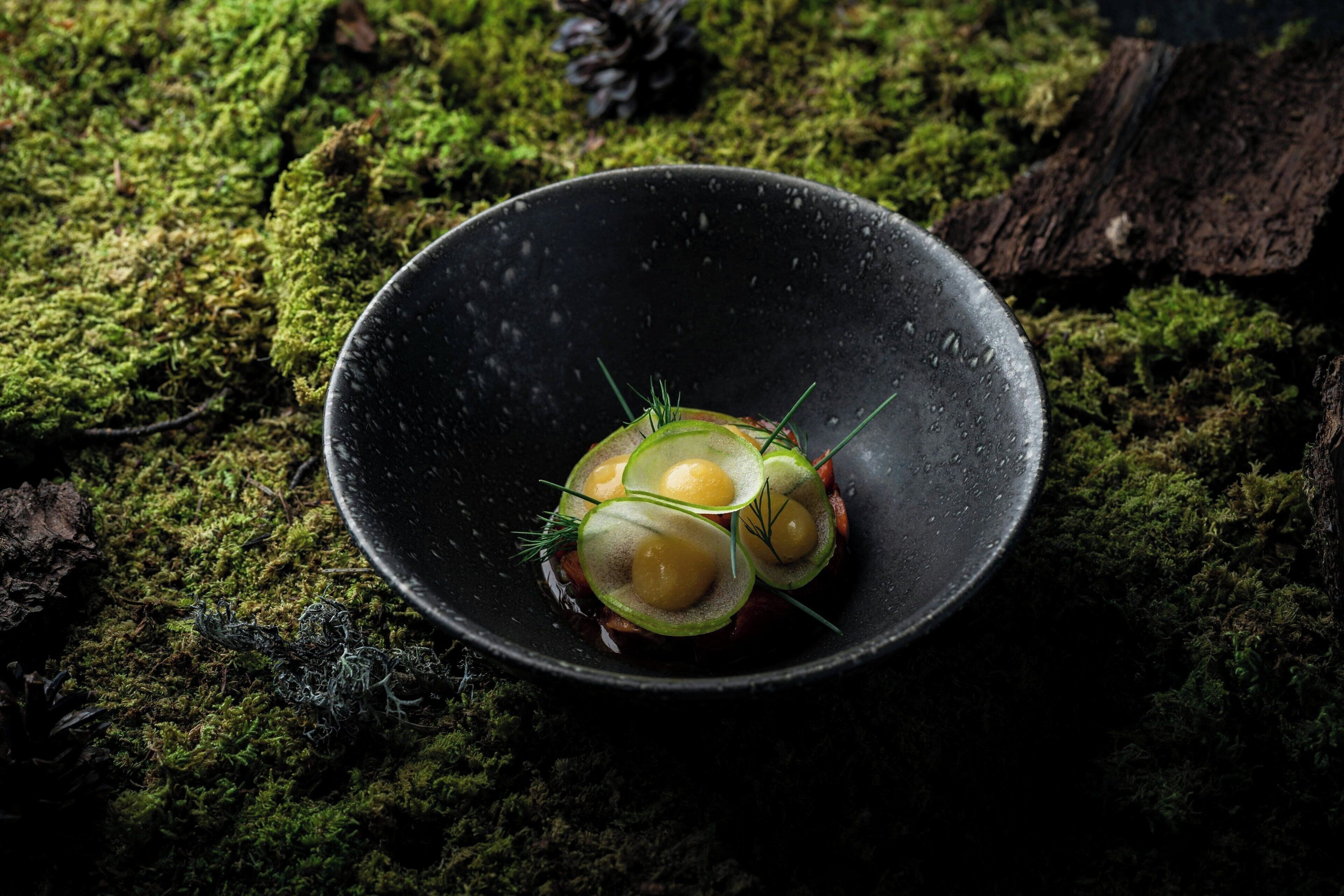 A black bowl with a green salad on a mossy surface.